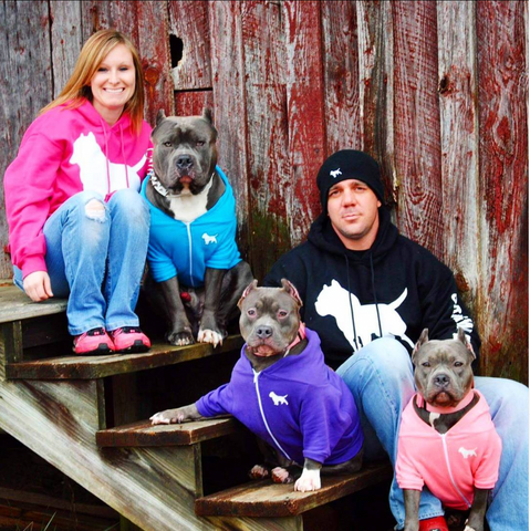 American bully clothing best sale